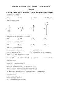 2022-2023学年浙江省温州中学高一上学期期中考试 化学 试题（学生版 解析版）