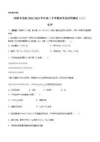 辽宁省沈阳市名校2022-2023学年高三下学期高考适应性测试（三）化学试题（Word版含答案）