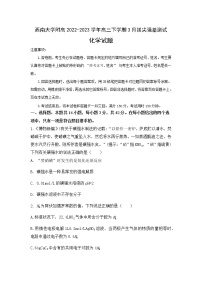 2022-2023学年重庆市西南大学附高高三下学期3月拔尖强基测试化学试题含答案