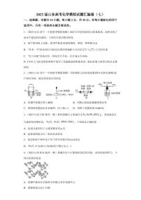 2023届山东省高三下学期4月化学模拟试题（七）PDF版含答案