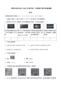 湖北省黄冈市十一校2022-2023学年高二下学期期中联考化学试题含答案