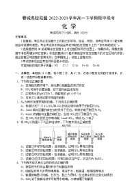 四川省成都市蓉城名校联盟2022-2023学年高一下学期期中联考化学试题（Word版含答案）