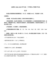 安徽省合肥市2022-2023学年高一下学期4月期中考试化学试题（Word版含答案）