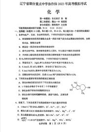 2023年辽宁省部分重点高中协作体高三模拟化学试题