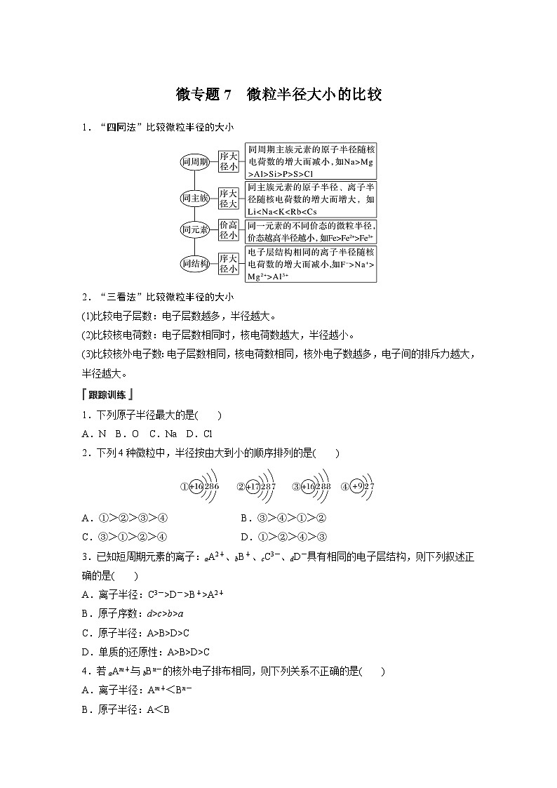 第4章 第2节 微专题7　微粒半径大小的比较 学案（学生版）2022-2023学年高一化学人教版（2019）必修第一册第1页