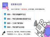 高中化学新教材同步必修第二册课件+讲义 第16讲+认识有机化合物（下）