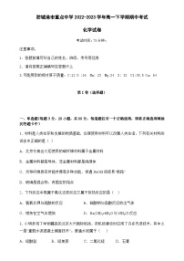 广西防城港市重点中学2022-2023学年高一下学期期中考试化学试题（Word版含答案）