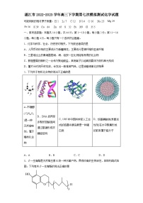 广东省湛江市2022-2023学年高三下学期第七次模拟测试化学试题（Word版含答案）