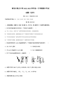 山东省青岛市重点中学2022-2023学年高一下学期期中考试化学试题（Word版含答案）