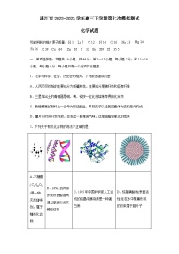 2022-2023学年广东省湛江市高三下学期第七次模拟测试化学试题含答案