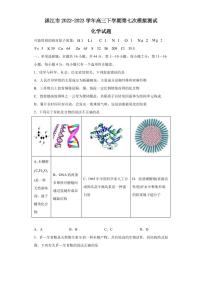 2022-2023学年广东省湛江市高三下学期第七次模拟测试化学试题PDF版含答案