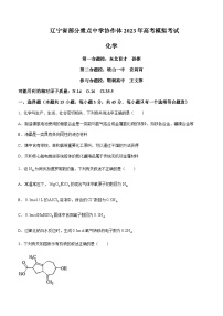 2023届辽宁省实验中学部分重点中学协作体高三模拟考试化学试题含答案