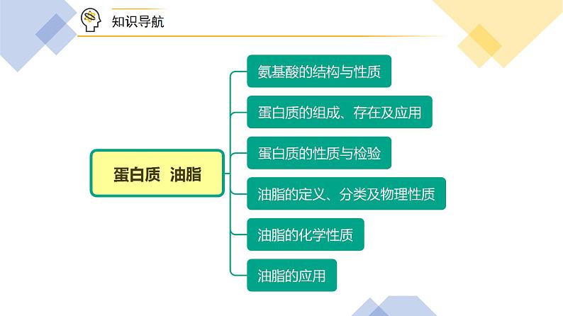 高中化学新教材同步必修第二册 第24讲 基本营养物质（二）蛋白质油脂（PPT课件）第5页