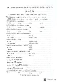 湖南省2022-2023学年高一下学期合格性考试仿真试卷化学试题（专家版三）扫描版含答案