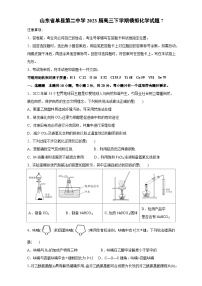 2023届山东省菏泽市单县第二中学高三下学期第七次模拟测试化学试题（含解析）