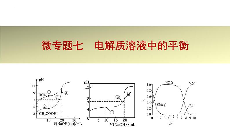 2023届高三化学二轮复习微专题——水溶液中的离子平衡课件第1页