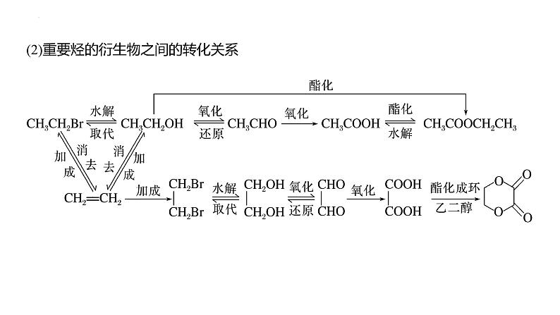 2024届高考一轮复习化学课件（人教版）第十章　有机化学基础 第67讲　有机合成与推断综合题突破04