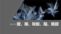 2024届高考一轮复习化学课件第十章　有机化学基础 第64讲　醛、酮、羧酸、酯、酰胺