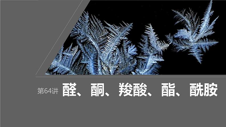 2024届高考一轮复习化学课件第十章　有机化学基础 第64讲　醛、酮、羧酸、酯、酰胺01