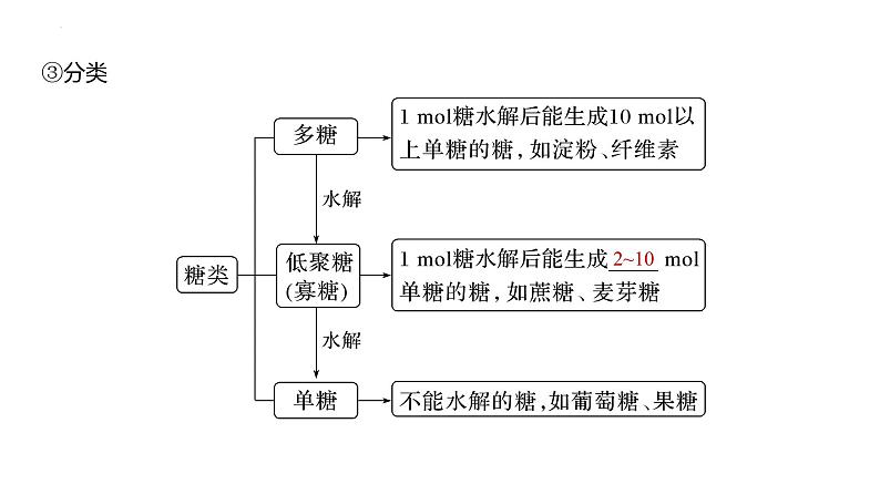 2024届高考一轮复习化学课件第十章　有机化学基础第 65讲　油脂　生物大分子05