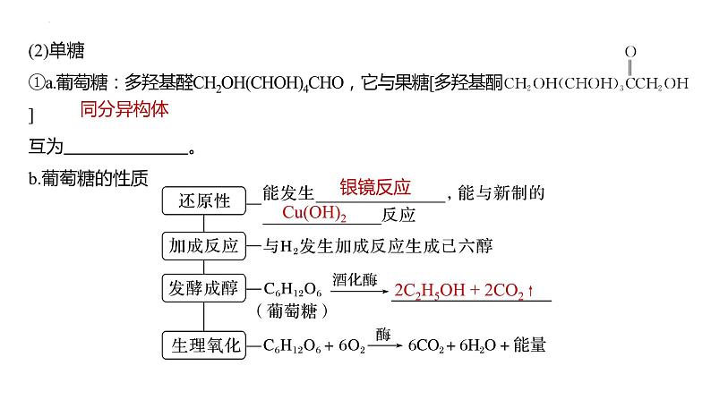 2024届高考一轮复习化学课件第十章　有机化学基础第 65讲　油脂　生物大分子06