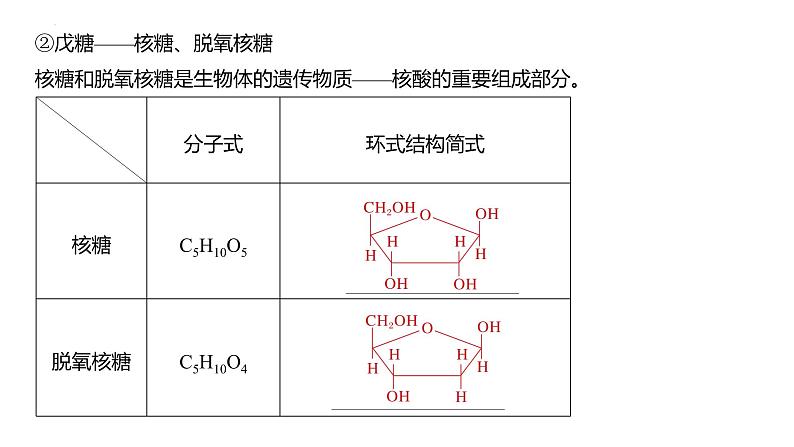 2024届高考一轮复习化学课件第十章　有机化学基础第 65讲　油脂　生物大分子07