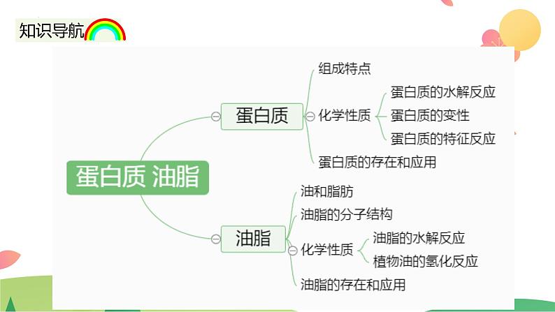 7.4.2 蛋白质 油脂（精讲课件）-高一化学同步学习高效学讲练（人教版必修第二册）04