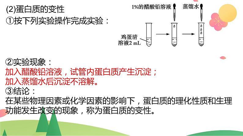 7.4.2 蛋白质 油脂（精讲课件）-高一化学同步学习高效学讲练（人教版必修第二册）07