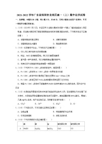 2021-2022学年广东省深圳市龙岗区高一（上）期中化学试卷