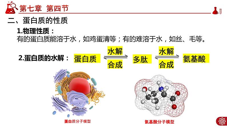7.4.2蛋白质PPT第6页
