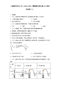 上海高考化学三年（2020-2022）模拟题分类汇编-101烃的衍生物（1）