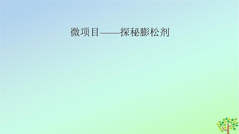 新教材2023年高中化学第2章海水中的重要元素__钠和氯微项目探秘膨松剂课件新人教版必修第一册02