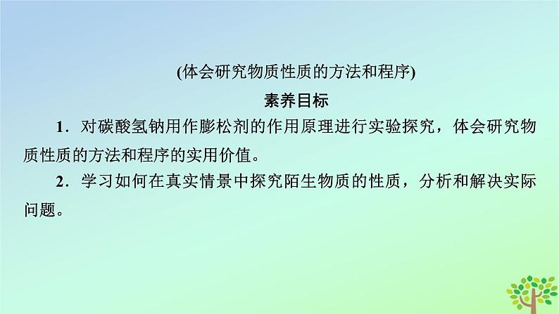 新教材2023年高中化学第2章海水中的重要元素__钠和氯微项目探秘膨松剂课件新人教版必修第一册03