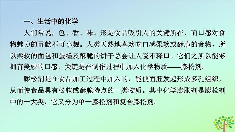 新教材2023年高中化学第2章海水中的重要元素__钠和氯微项目探秘膨松剂课件新人教版必修第一册04