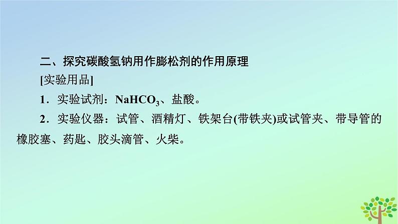 新教材2023年高中化学第2章海水中的重要元素__钠和氯微项目探秘膨松剂课件新人教版必修第一册05