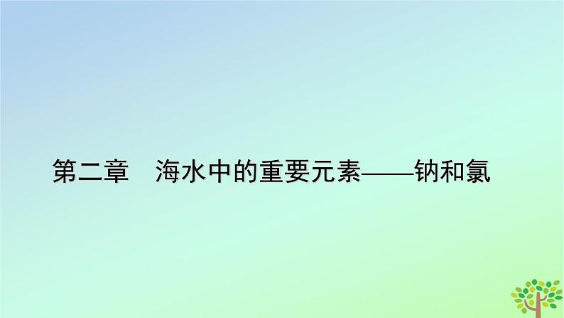 新教材2023年高中化学第2章海水中的重要元素__钠和氯第2节氯及其化合物第2课时氯气的实验室制法氯离子的检验课件新人教版必修第一册第1页