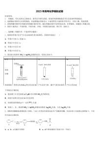 2022-2023学年山东省新高三第三次模拟考试化学试卷含解析