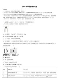 河南省五岳在线考试2023学年高考化学全真模拟密押卷(含解析)