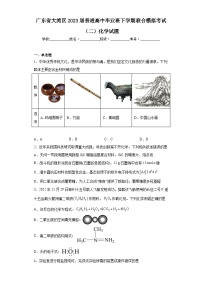 广东省大湾区2023届普通高中毕业班下学期联合模拟考试（二）化学试题（含解析）