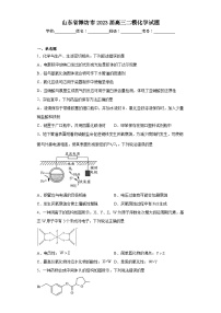 山东省潍坊市2023届高三二模化学试题（含解析）