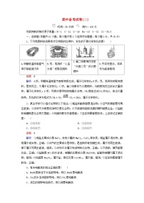 新教材高中化学期中备考试卷2鲁科版必修第一册