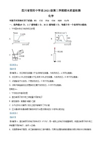 四川省资阳中学2022-2023学年高二化学上学期期末考试试题（Word版附解析）