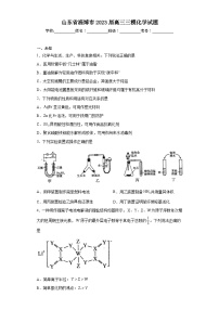 山东省淄博市2023届高三三模化学试题（无答案）