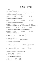 考点11  化学键（测试）——2023年高中化学学业水平考试专项精讲+测试（人教版2019必修1+必修2）