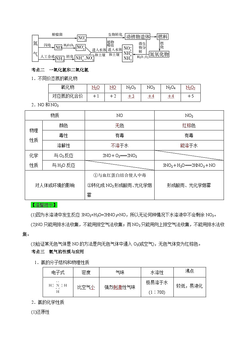 考点13  氮及其化合物（教师版）第2页