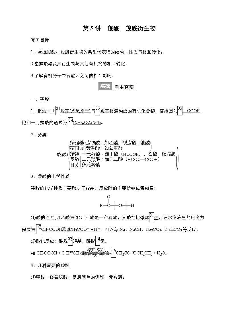 2024年高考化学一轮总复习 第11单元  第5讲　羧酸　羧酸衍生物 学案（含高考真题和课后作业）（教师版 ）第1页