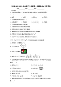 上海市2022-2023学年高三上学期第一次模拟考试化学试卷（含解析）