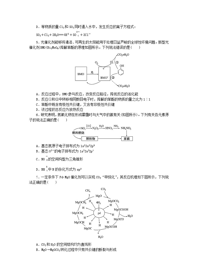 2024版新教材高考化学复习特训卷单元检测5物质结构与性质元素周期律第2页