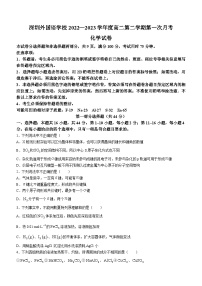 广东省深圳外国语学校2022-2023学年高二下学期3月月考化学试题及答案