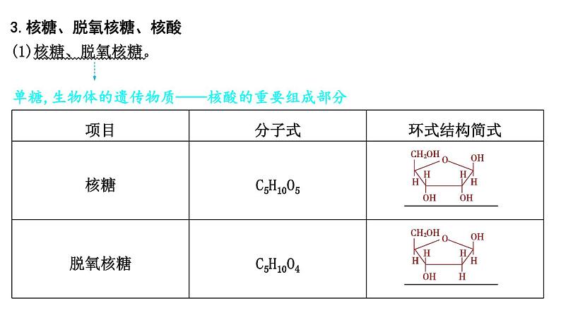 第4讲　生物大分子　合成高分子第7页